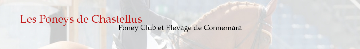 Les Poneys de Chastellus